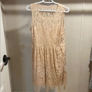 Lace Fit and Flare Dress